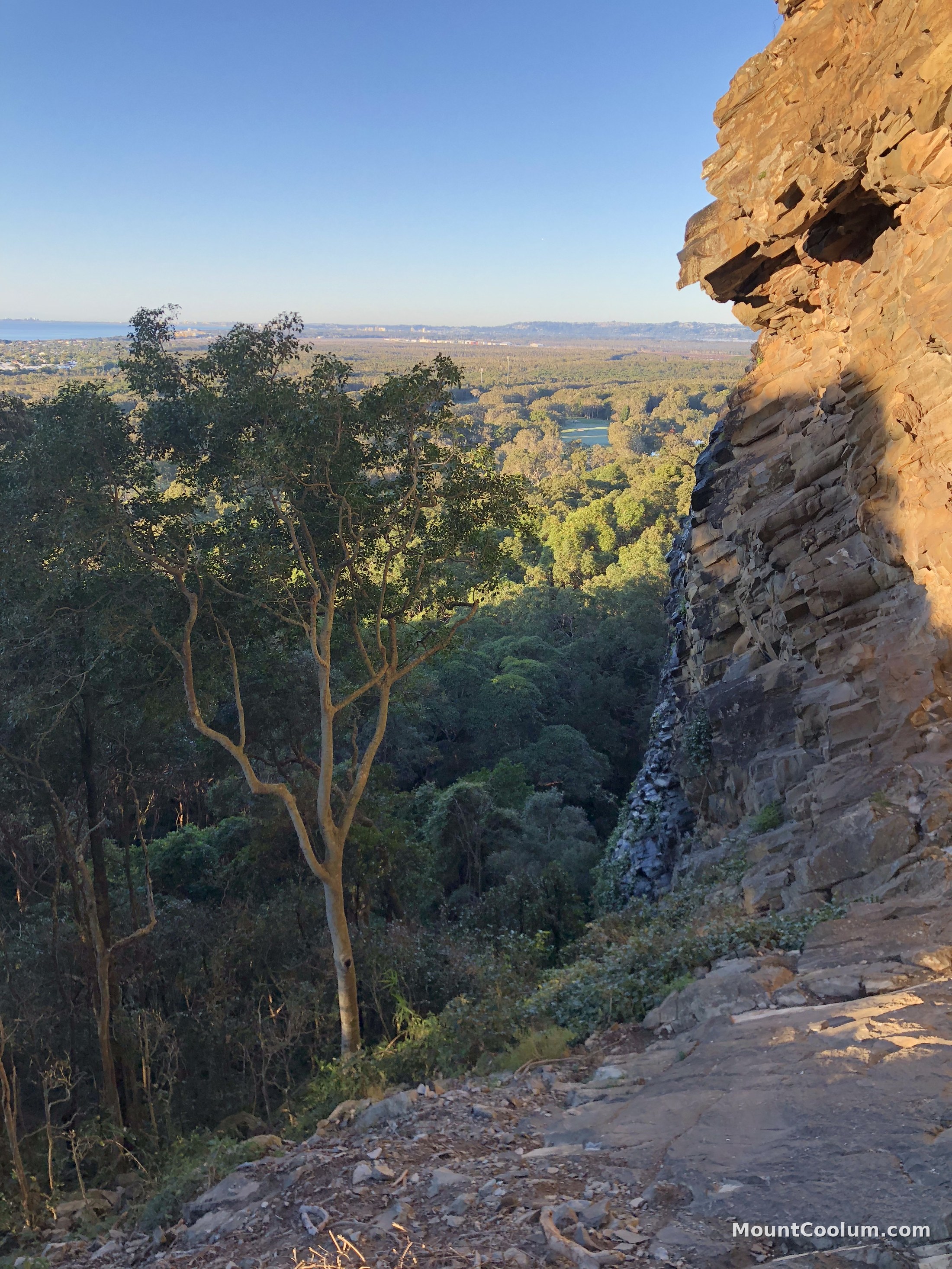 Layered rhyolite rock overhang above the forest on Mount Coolum's summit track