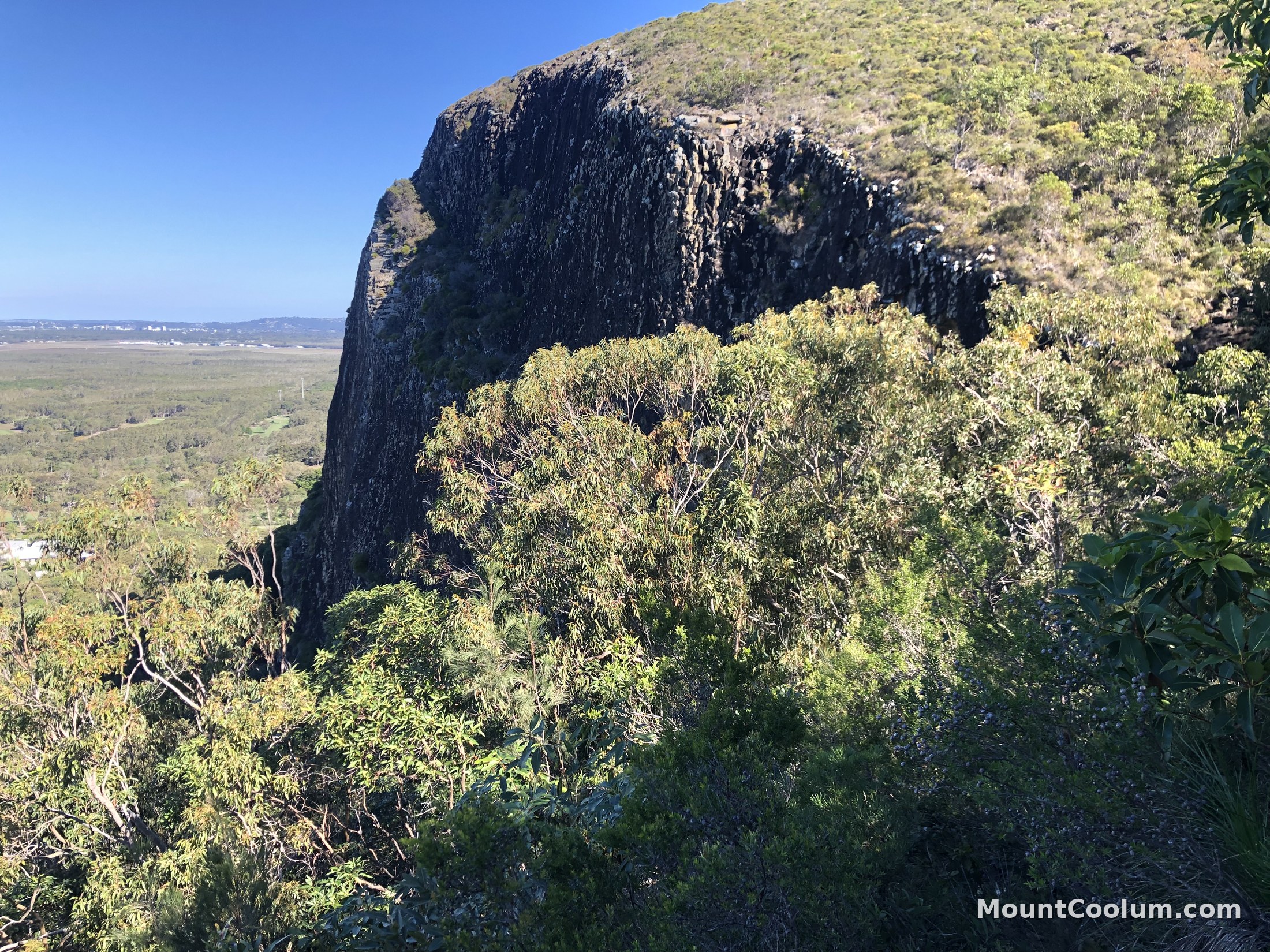 Dark rhyolite cliff face on Mount Coolum showing natural hexagonal columnar jointing